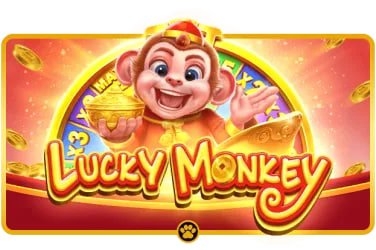 বাংলাদেশি ক্রিকেট আলোচনার জন্য bet 24 পরামর্শ